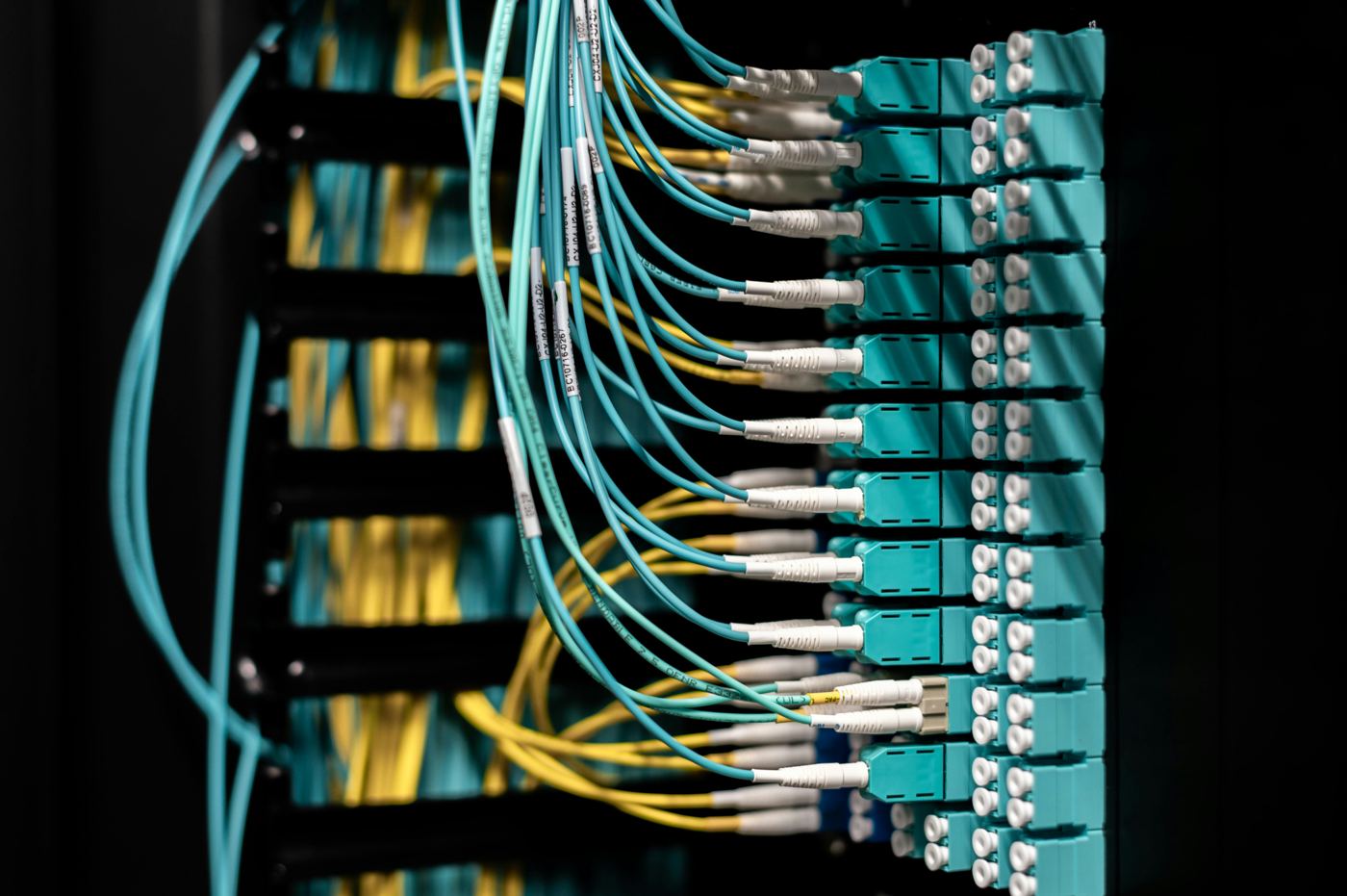 Fiber optic patch panel with colored cables